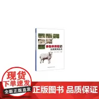 新型农业经营主体带头人