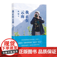 我正在云南(作家洪峰十余年来随笔集)