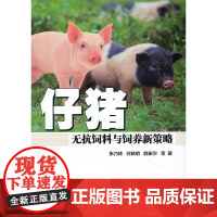 仔猪无抗饲料与饲养新策略