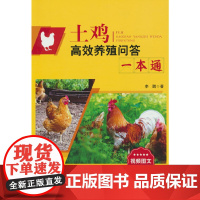 土鸡高效养殖问答一本通