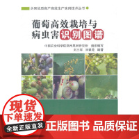 葡萄高效栽培与病虫害识别图谱