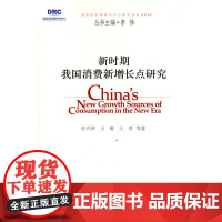 新时期我国消费新增长点研究