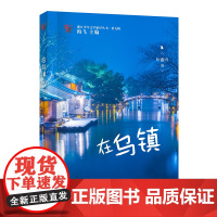 在乌镇(浙江少年文学新星丛书·第九辑)
