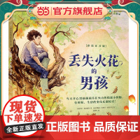 丢失火花的男孩