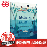 池塘上,池塘下