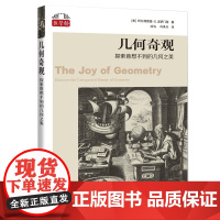 几何奇观:探索意想不到的几何之美(“数学桥”丛书)