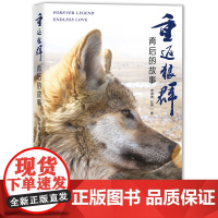 重返狼群背后的故事 李微漪 红娟/ 海南出版社 正版书籍