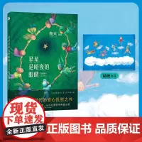 《星星是暗夜的眼睛》 (平装)