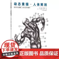 动态素描. 人体解剖