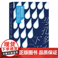 马孔多在下雨 周于旸 2022宝珀理想国文学奖入围作品