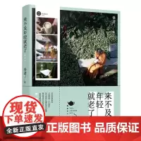 来不及年轻就老了(青年作家悟澹新书力作!锁线双封设计) 悟澹 广东人民出版社 正版书籍