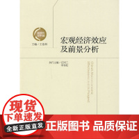 宏观经济效应及前景分析