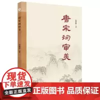 唐宋词审美 宋秋敏 著