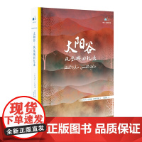 中科互译系列-太阳谷:凤凰城回忆录