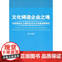 文化铸造企业之魂 林宪斋 主编 经济管理出版社 正版书籍