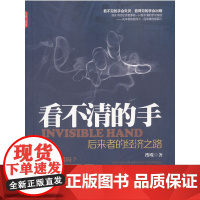 看不清的手:后来者的经济之路