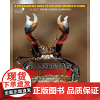 常见海滨动物野外识别手册