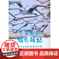 了不起的候鸟驿站(官厅水库湿地探索手册)/童眼看湿地自然探索丛书