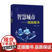 智慧城市——能源服务 中国电力出版社 正版书籍