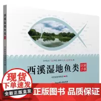 西溪湿地鱼类识别手册