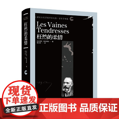 枉然的柔情 苏利?普吕多姆 漓江出版社 正版书籍