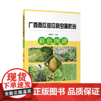广西西瓜甜瓜病虫害防治彩色图谱