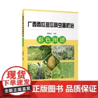 广西西瓜甜瓜病虫害防治彩色图谱