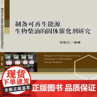 制备可再生能源生物柴油的固体催化剂研究