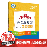 培优新帮手·小升初语文总复习真题集训