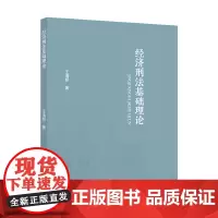 经济刑法基础理论 王海桥 法律经济金融理论社科专著 中国政法大学出版社 王海桥 中国政法大学出版社 正版书籍