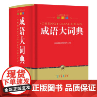 彩图版成语大词典(64开)