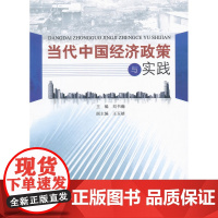 当代中国经济政策与实践