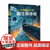 火苗照亮宇宙:暗生命传奇 (于星辰间探寻,于寂静中觉醒,一场关于人类与宇宙的永恒对话。)