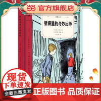 壁橱里的奇妙历险(奇想文库第二辑 精装 中年级适读 2020年阅伴共读春季入选书目)