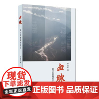 血脉:赴川抗震救灾手记