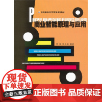 商业智能原理与应用