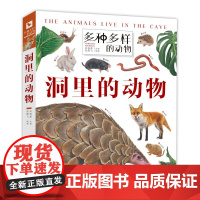 多种多样的动物·洞里的动物 动物翻翻书“翻”阅生命奥秘
