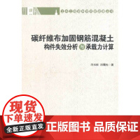 碳纤维布加固钢筋混凝土构件失效分析与承载力计算 闫长旺刘曙光 中国建筑工业出版社 正版书籍