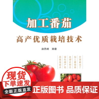 加工番茄高产优质栽培技术
