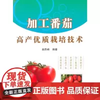 加工番茄高产优质栽培技术