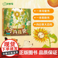 不向日葵 3-6岁精装绘本 小竹马童书 可爱画风 关爱尊重 收获友谊 生态科普 解答成长困惑