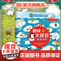 趣味大迷宫:惊奇冒险+世界漫步(全2册)