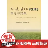 冬小麦夏玉米水氮耦合理论与实践