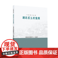 中国脱贫攻坚:湖北省五村案例