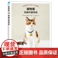 猫物集:钩编可爱饰物/制作猫咪饰品 正版书籍