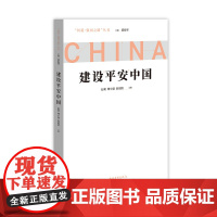 建设平安中国