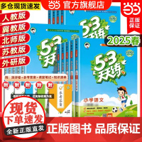 正版 2025春新版53天天练三3年级上册下册语文数学英语全套同步训练人教版苏教北师冀教小学一课一练测试卷五三练习题册作
