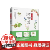 每天一幅画-植物篇(精心打造《每天一幅画——植物篇》,坚持每天一幅画,你也能画出专业水准的植物作品。)