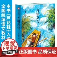 青铜葵花(精装典藏版)