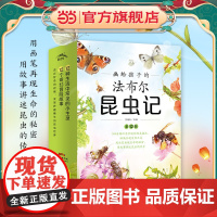 正版童书 画给孩子的法布尔昆虫记套装12册